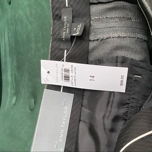 Ann Taylor Ann Trousers (14)